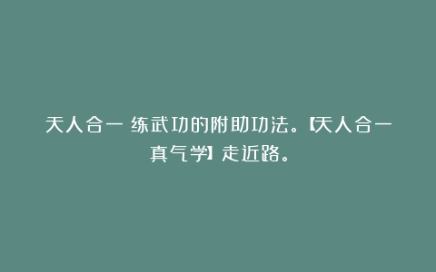 天人合一：练武功的附助功法。【天人合一真气学】走近路。