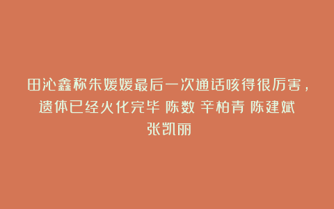 田沁鑫称朱媛媛最后一次通话咳得很厉害，遗体已经火化完毕|陈数|辛柏青|陈建斌|张凯丽