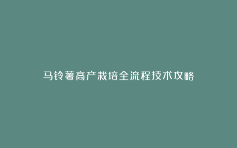 马铃薯高产栽培全流程技术攻略