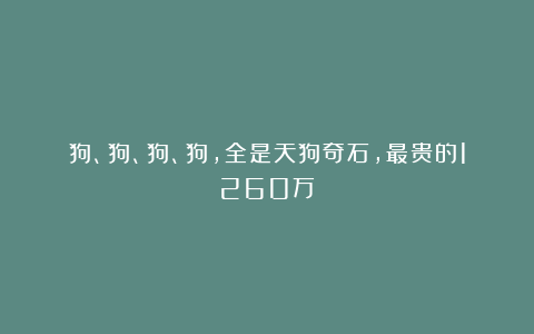 狗、狗、狗、狗，全是天狗奇石，最贵的1260万！