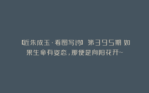【近朱成玉·看图写诗】（第395期）如果生命有姿态,那便是向阳花开~