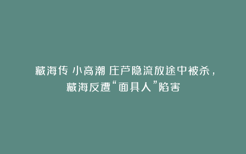 《藏海传》小高潮：庄芦隐流放途中被杀，藏海反遭“面具人”陷害