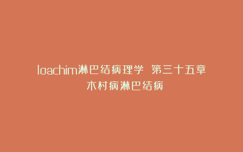 Ioachim淋巴结病理学 第三十五章 木村病淋巴结病