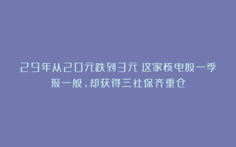 29年从20元跌到3元！这家核电股一季报一般，却获得三社保齐重仓