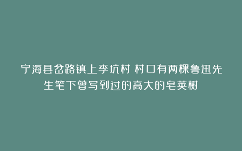 宁海县岔路镇上李坑村丨村口有两棵鲁迅先生笔下曾写到过的高大的皂荚树