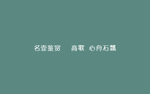 名壶鉴赏 | 高歌 心舟石瓢