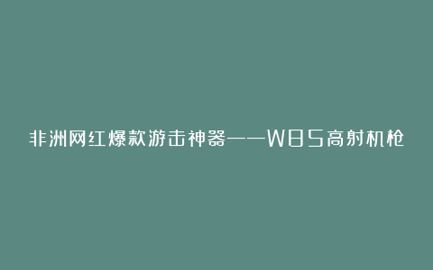 非洲网红爆款游击神器——W85高射机枪