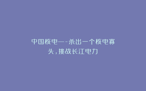 中国核电—-杀出一个核电寡头，挑战长江电力！