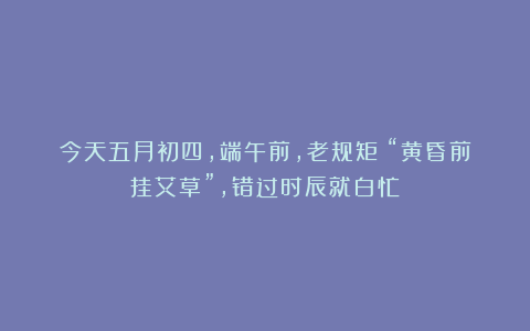 今天五月初四，端午前，老规矩：“黄昏前挂艾草”，错过时辰就白忙