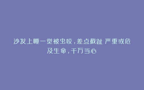 沙发上睡一觉被虫咬，差点截趾！严重或危及生命，千万当心！