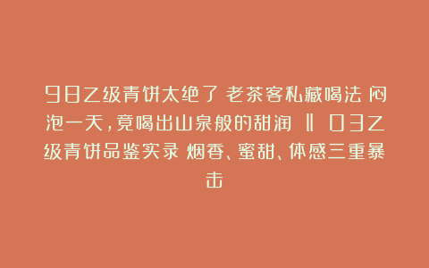 98乙级青饼太绝了！老茶客私藏喝法：闷泡一天，竟喝出山泉般的甜润 ‖ 03乙级青饼品鉴实录：烟香、蜜甜、体感三重暴击！