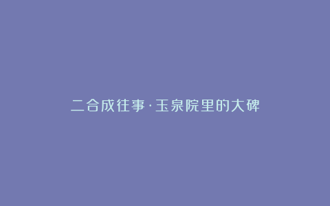 二合成往事·玉泉院里的大碑