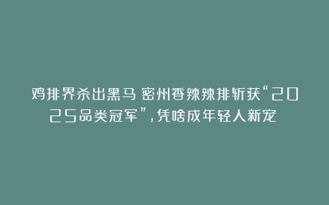 鸡排界杀出黑马！密州香辣辣排斩获“2025品类冠军”，凭啥成年轻人新宠？​