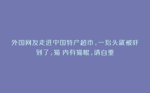 外国网友走进中国特产超市，一抬头就被吓到了，猫：内有猫眼，请自重！