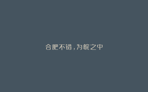 合肥不错，为皖之中
