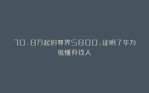70.8万起的尊界S800，证明了华为很懂有钱人