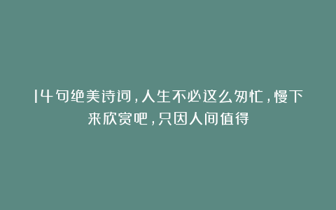 14句绝美诗词，人生不必这么匆忙，慢下来欣赏吧，只因人间值得