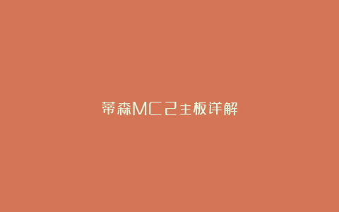 蒂森MC2主板详解