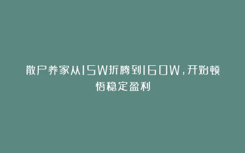 散户养家从15W折腾到160W,开始顿悟稳定盈利