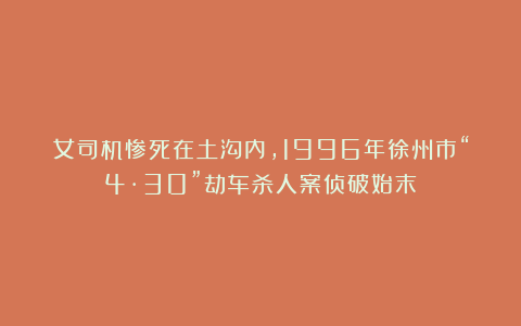 女司机惨死在土沟内，1996年徐州市“4·30”劫车杀人案侦破始末
