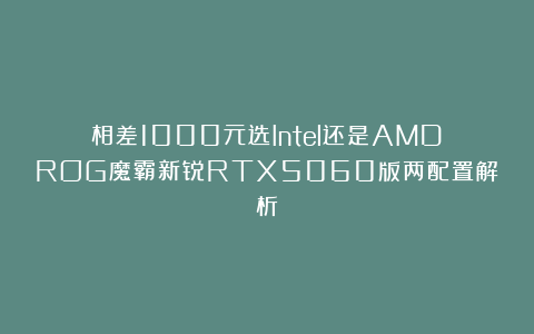相差1000元选Intel还是AMD？ROG魔霸新锐RTX5060版两配置解析