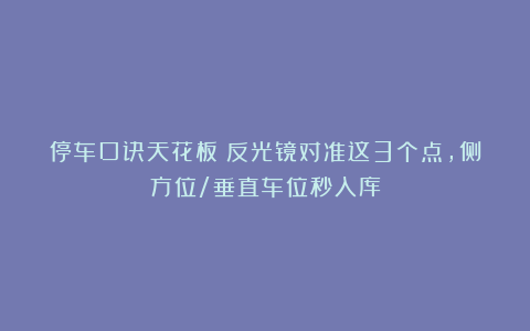 停车口诀天花板！反光镜对准这3个点，侧方位/垂直车位秒入库