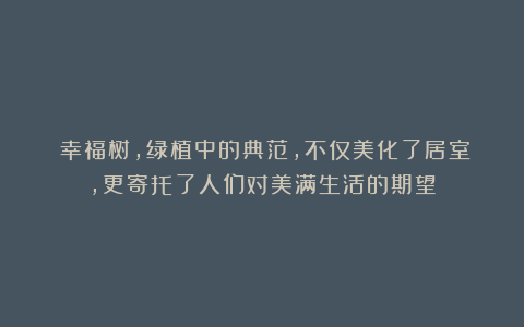 ​幸福树，绿植中的典范，不仅美化了居室，更寄托了人们对美满生活的期望