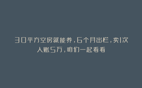30平方空房就能养，6个月出栏，卖1次入账5万，咱们一起看看