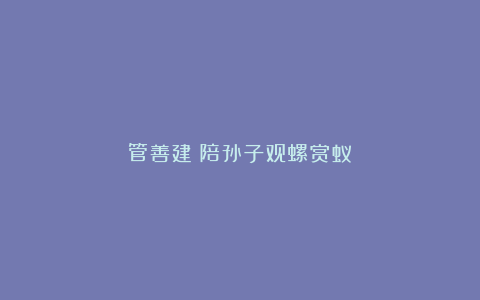 管善建：陪孙子观螺赏蚁