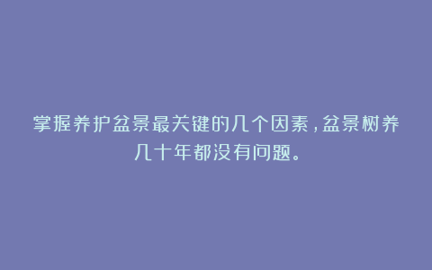 掌握养护盆景最关键的几个因素，盆景树养几十年都没有问题。
