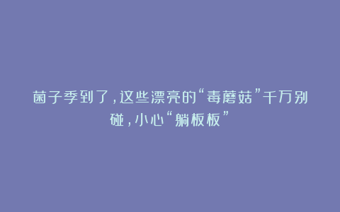 菌子季到了，这些漂亮的“毒蘑菇”千万别碰，小心“躺板板”！