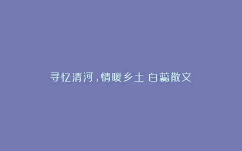 寻忆清河，情暖乡土（白蕊散文）