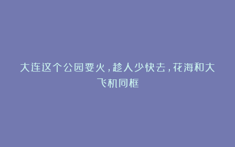 大连这个公园要火，趁人少快去，花海和大飞机同框