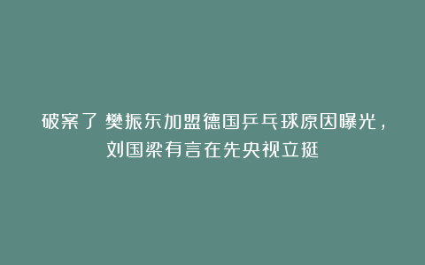 破案了！樊振东加盟德国乒乓球原因曝光，刘国梁有言在先央视立挺