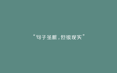 “句子虽脏，但很现实”