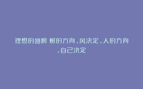 理想的翅膀：树的方向，风决定，人的方向，自己决定！