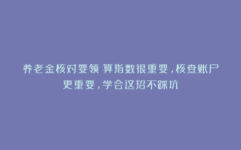 养老金核对要领：算指数很重要，核查账户更重要，学会这招不踩坑