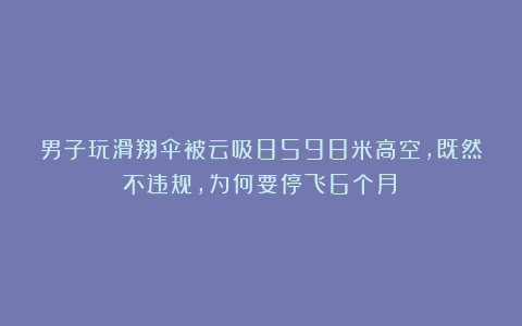 男子玩滑翔伞被云吸8598米高空,既然不违规,为何要停飞6个月?