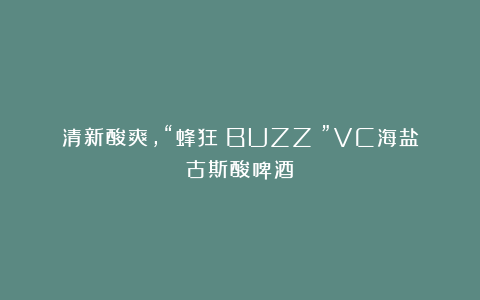 清新酸爽，“蜂狂（BUZZ）”VC海盐古斯酸啤酒～