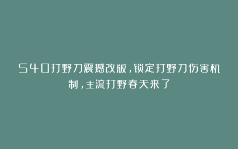 S40打野刀震撼改版，锁定打野刀伤害机制，主流打野春天来了