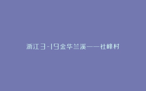 浙江3-19金华兰溪——社峰村