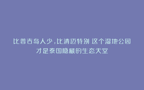 比普吉岛人少，比清迈特别！这个湿地公园才是泰国隐藏的生态天堂