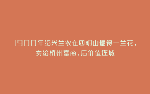 1900年绍兴兰农在四明山掘得一兰花，卖给杭州富商，后价值连城