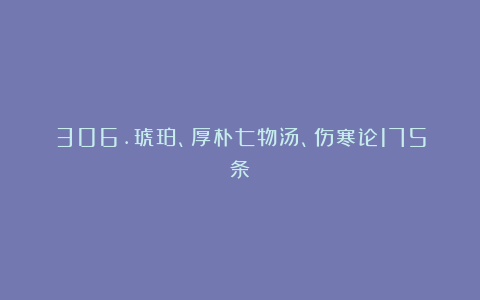306.琥珀、厚朴七物汤、伤寒论175条
