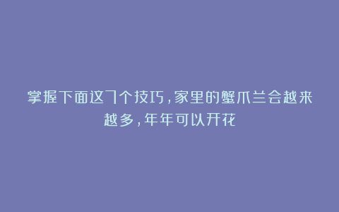 掌握下面这7个技巧，家里的蟹爪兰会越来越多，年年可以开花