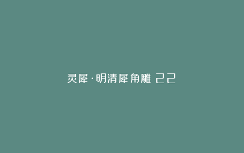 灵犀·明清犀角雕（22）