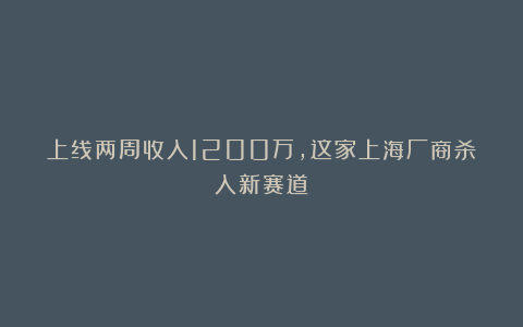 上线两周收入1200万，这家上海厂商杀入新赛道？