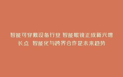 智能可穿戴设备行业：智能眼镜正成新兴增长点 智能化与跨界合作是未来趋势
