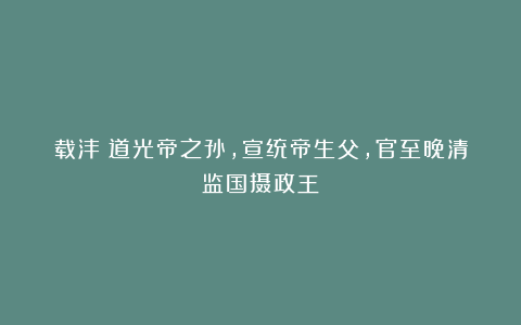 载沣：道光帝之孙，宣统帝生父，官至晚清监国摄政王