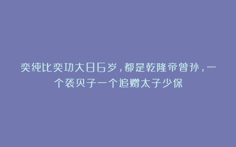 奕纯比奕功大86岁，都是乾隆帝曾孙，一个袭贝子一个追赠太子少保